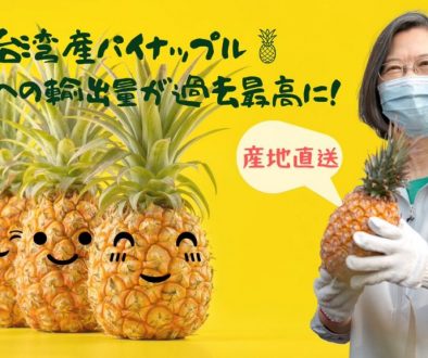 【悲報】台湾人「余ったパイナップル買って??お前の放射能食品は買わないけど??」